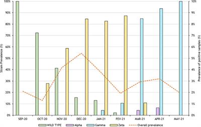 SARS-CoV-2 Variant Determination Through SNP Assays in Samples From Industry Workers From Rio de Janeiro, Brazil